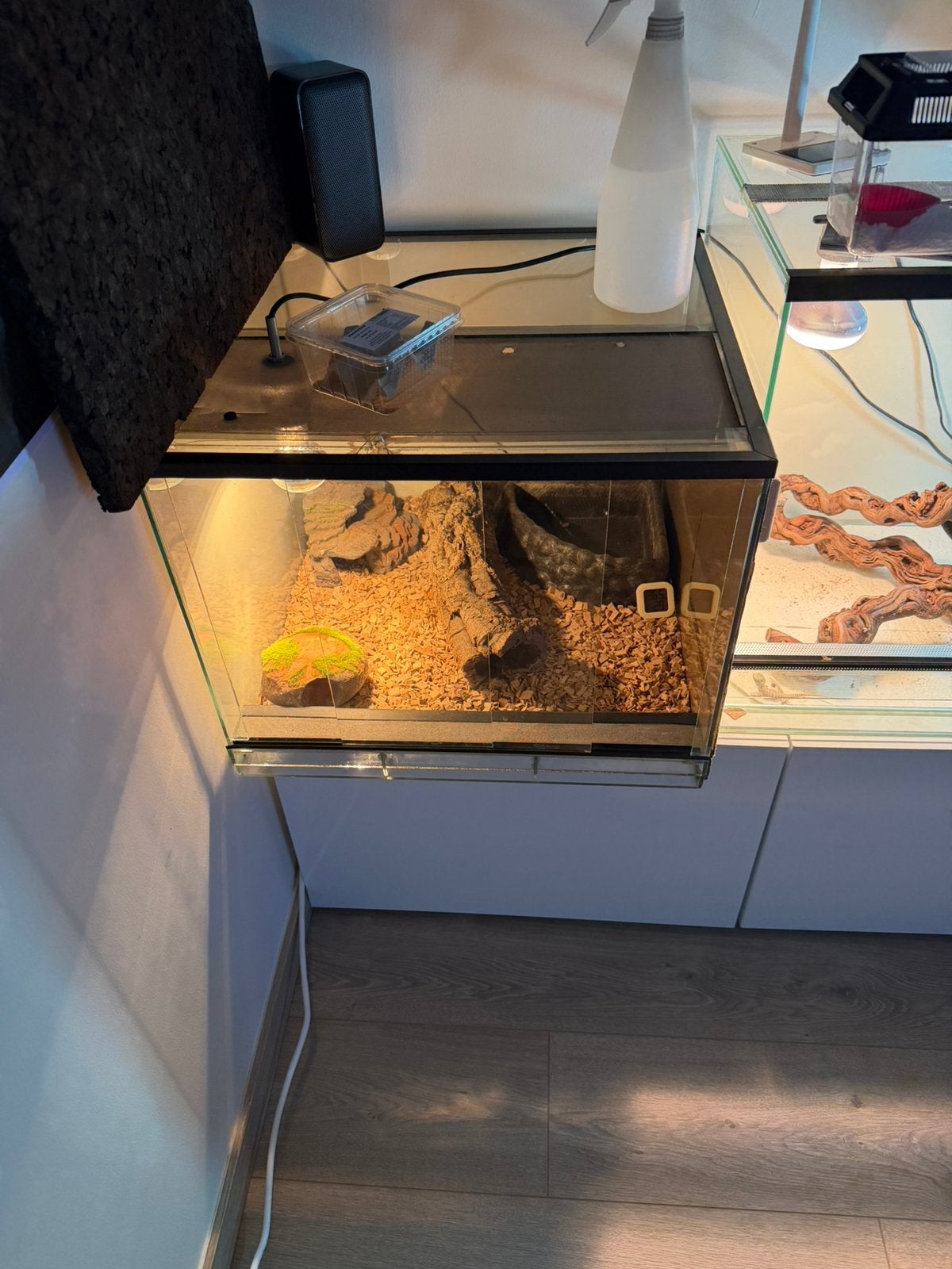 Terrarium, Enlèvement, Utilisé
