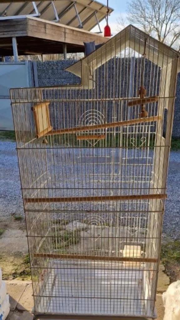 Cage à oiseaux, Enlèvement, Cage à oiseaux