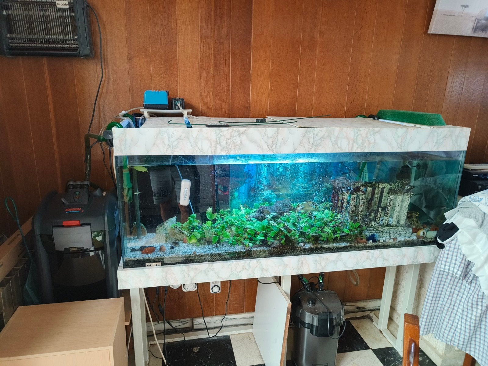 aquarium d 1.50 m - 600 l, Animaux & Accessoires, Enlèvement