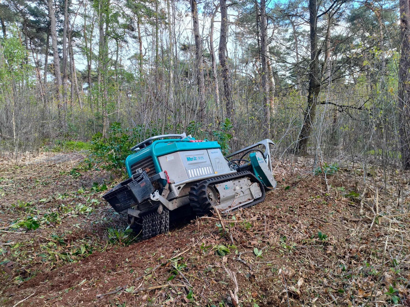 Bos/klepelmaaier . Compacte machine op rupsen.