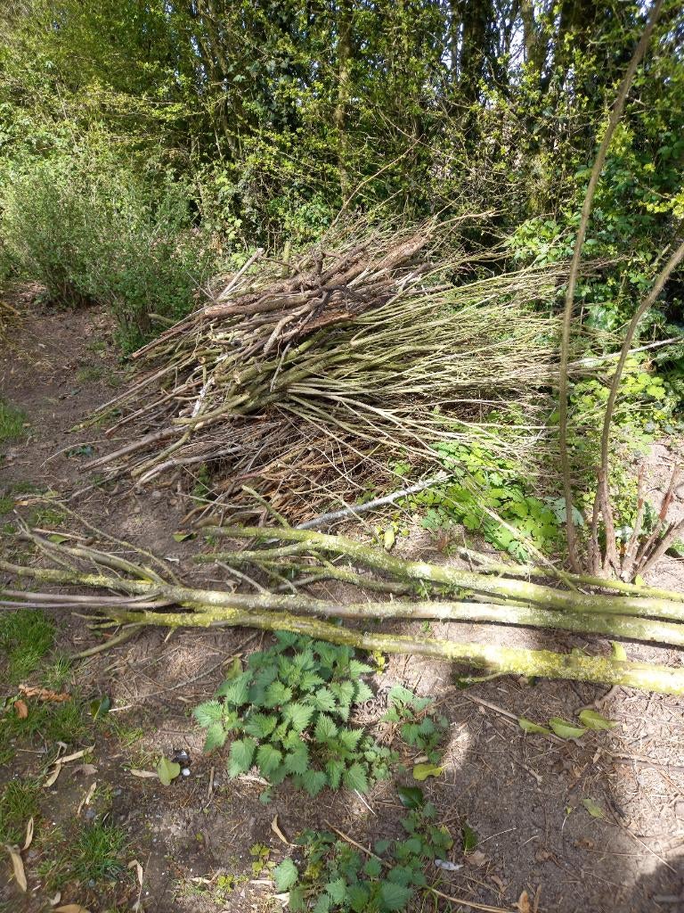 Gratis hout, Ophalen