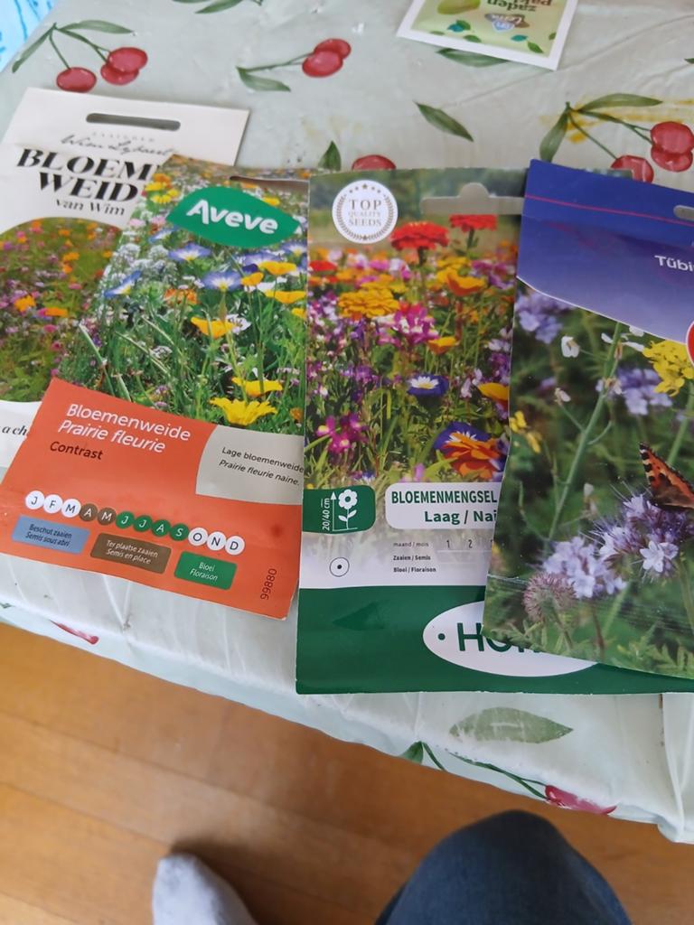 Bloemen zaadjes  ruilen tegen wette plantje, Tuin en Terras, Bloembollen en Zaden, Ophalen