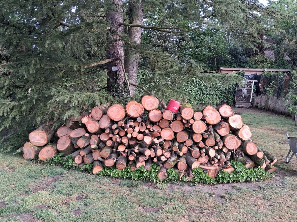 Vers brandhout krieken, Tuin en Terras, Brandhout, 3 tot 6 m³, Ophalen, Overige houtsoorten, Blokken