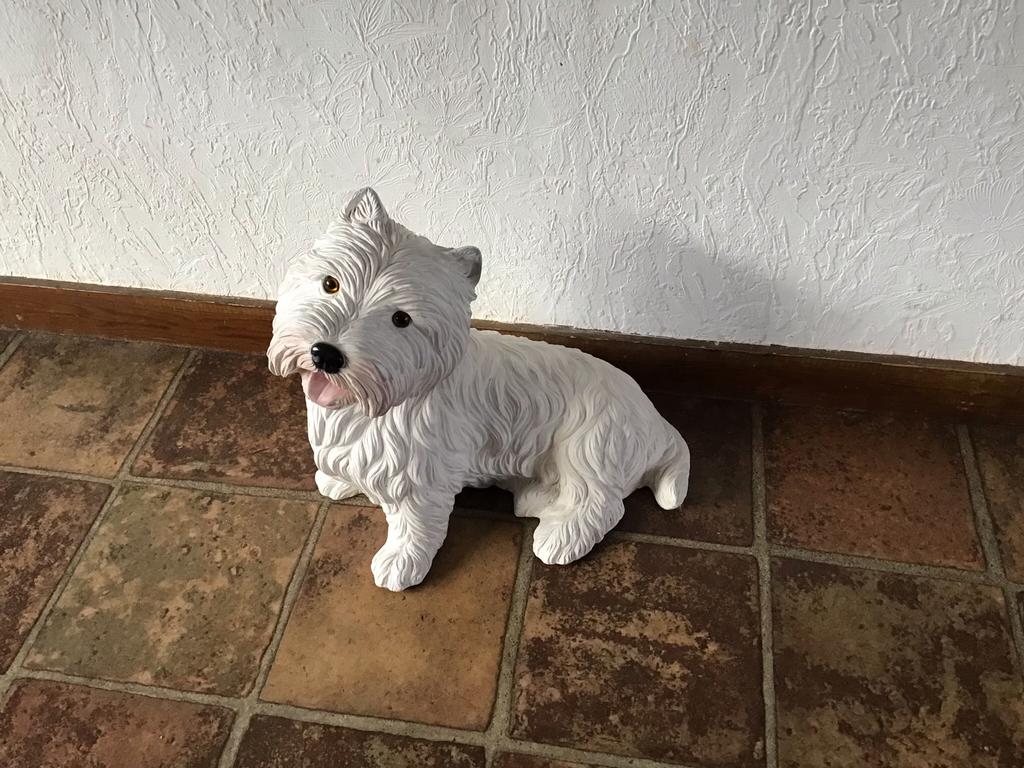 Hondje, Tuin en Terras, Ophalen, Zo goed als nieuw