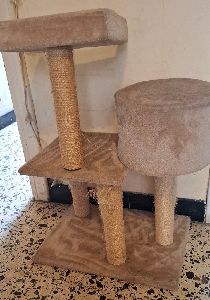 Kattenkrabpaal, Ophalen, Gebruikt, Krabpaal