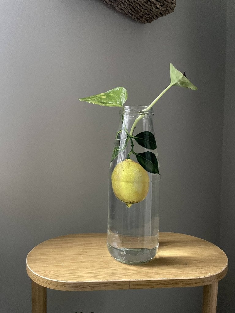 Vaas zelfgemaakt, Huis en Inrichting, Woonaccessoires | Vazen, Transparant, Nieuw, Ophalen of Verzenden, Glas