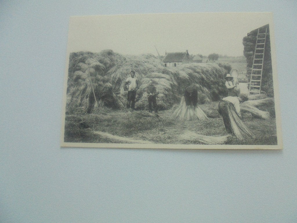 vlasteelt- het mijten, Verzamelen, Postkaarten | België, Verzenden, 1920 tot 1940, Ongelopen, West-Vlaanderen