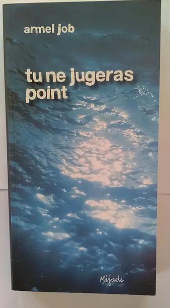 "Tu ne jugeras point" Armel Job (2017) NEUF !, Livres, Enlèvement ou Envoi, Neuf, Armel Job