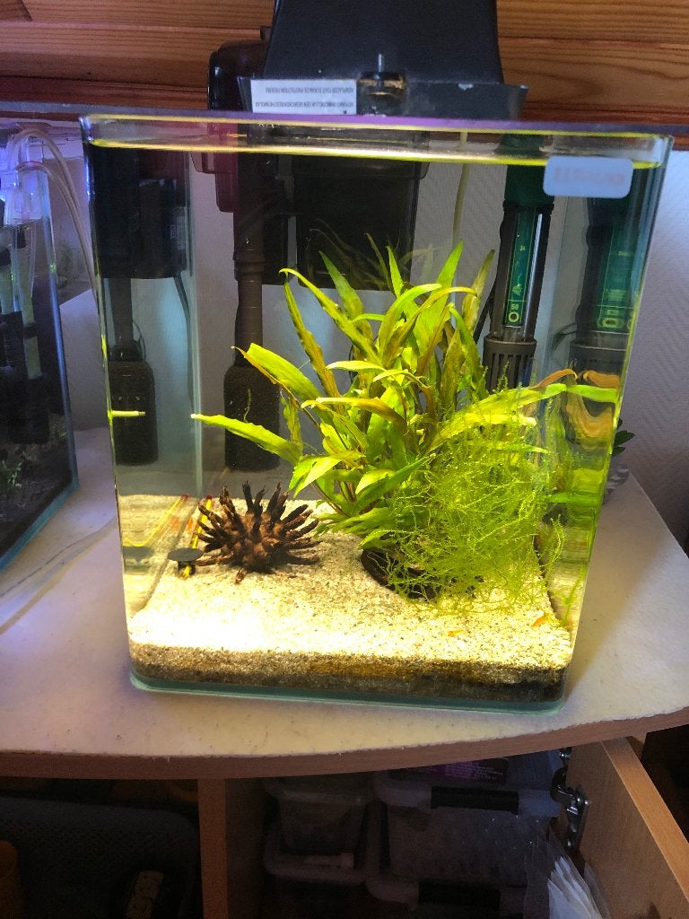 Aquarium WAVE complet, Animaux & Accessoires, Aquarium d'eau douce rempli, Plantes incluses, Enlèvement, Utilisé