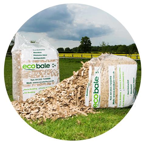 halve zak ecobale, November, Mannelijk