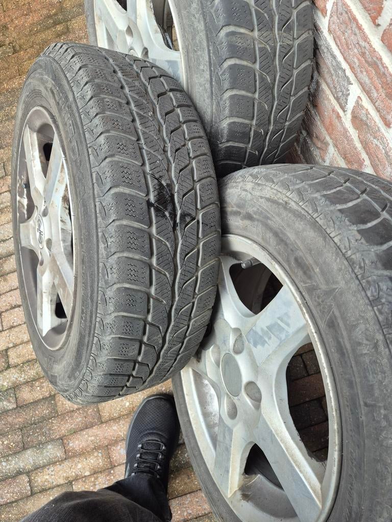 siervelgen ENZO 4 x 100 steekmaat winterbanden 185/65/R15, Ophalen