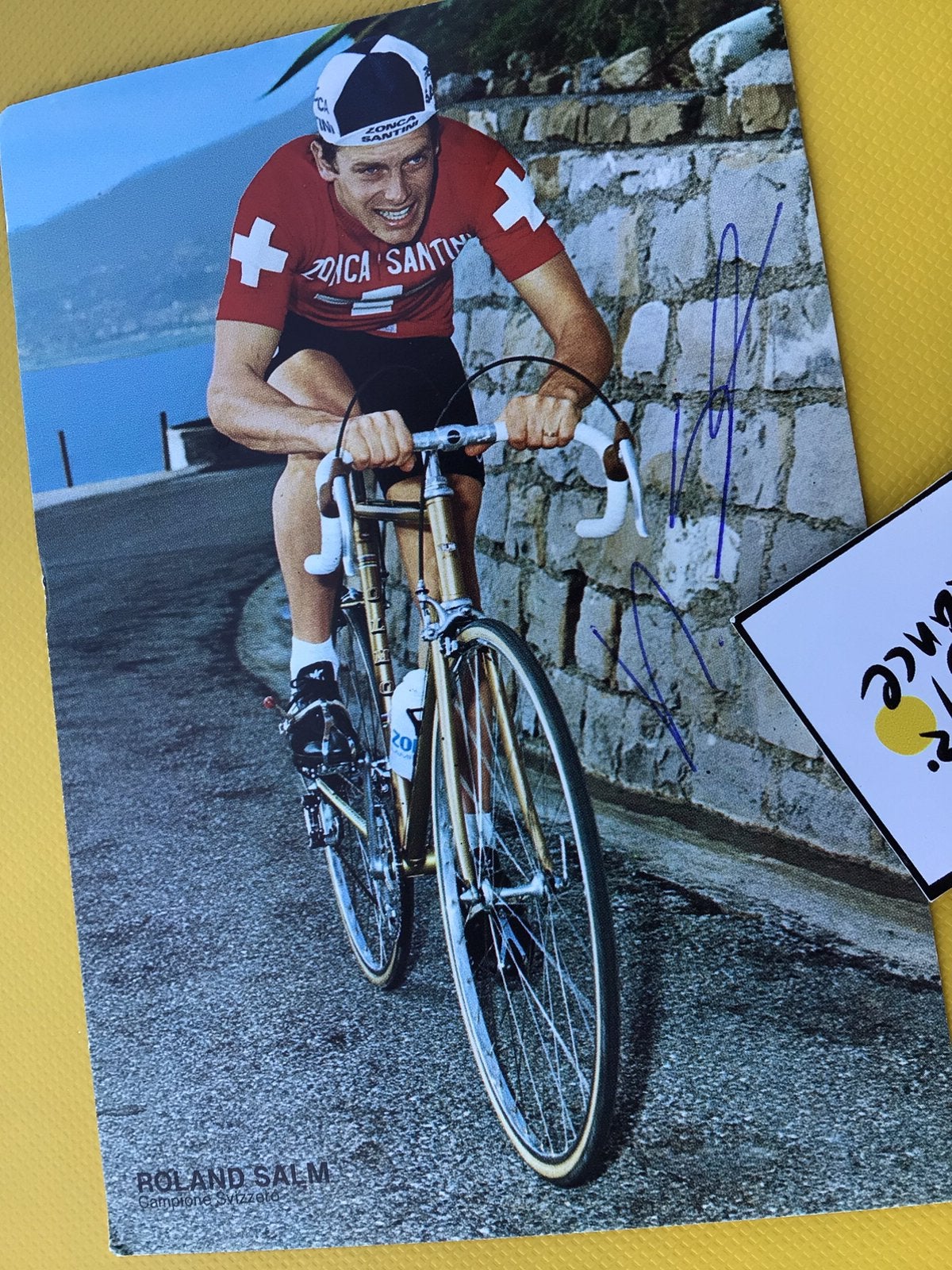 Wielerkaart team zonca santini roland salm signe, Verzenden, Zo goed als nieuw