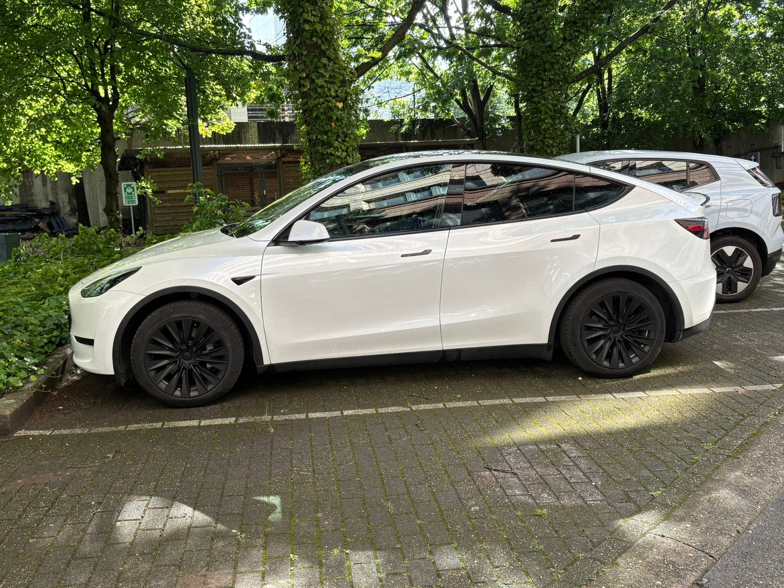 Tesla Model Y SR+, Autos, Cuir, Achat, Noir, Automatique