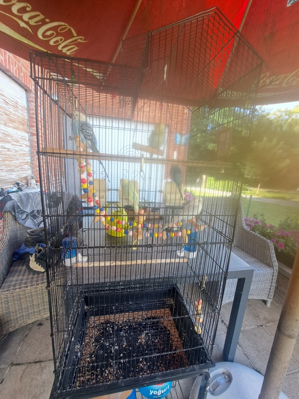 Vogels +hok, Dieren en Toebehoren, Ophalen