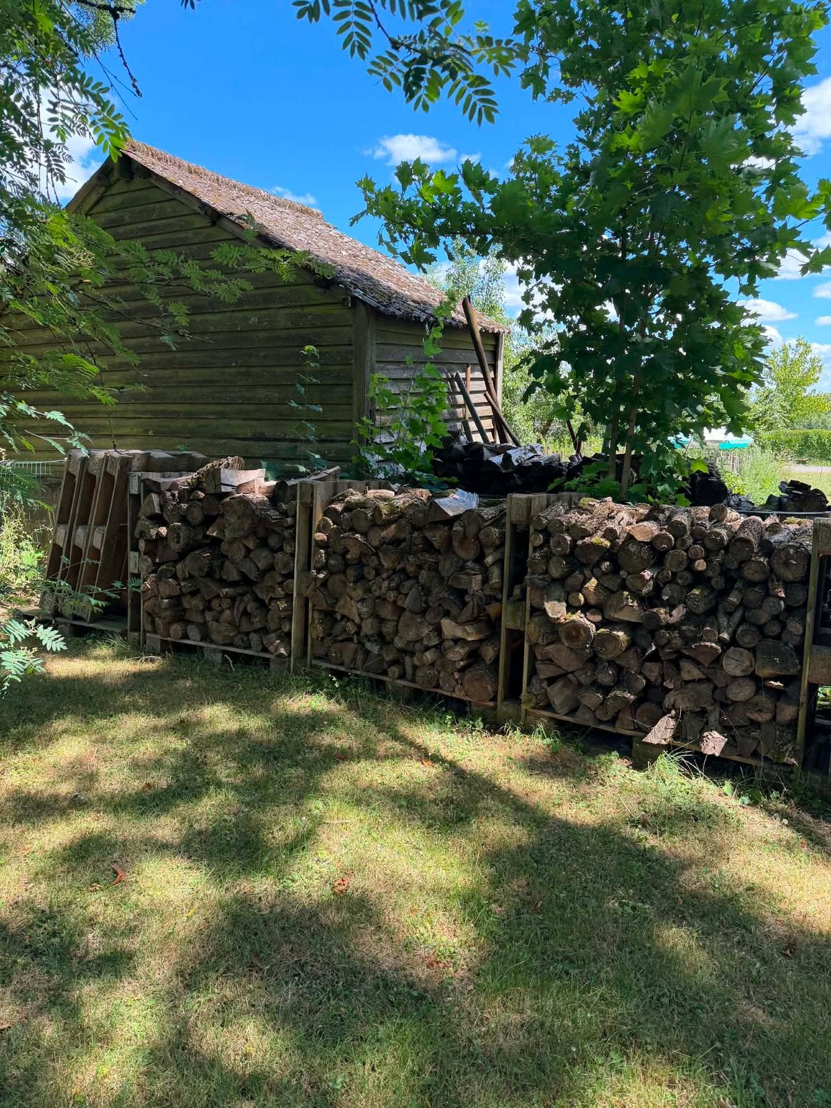 Bois de chauffage, Enlèvement, Comme neuf, Bois