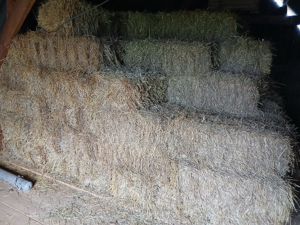 Hooi, kleine botten, Dieren en Toebehoren, Dierenvoeding, Ophalen