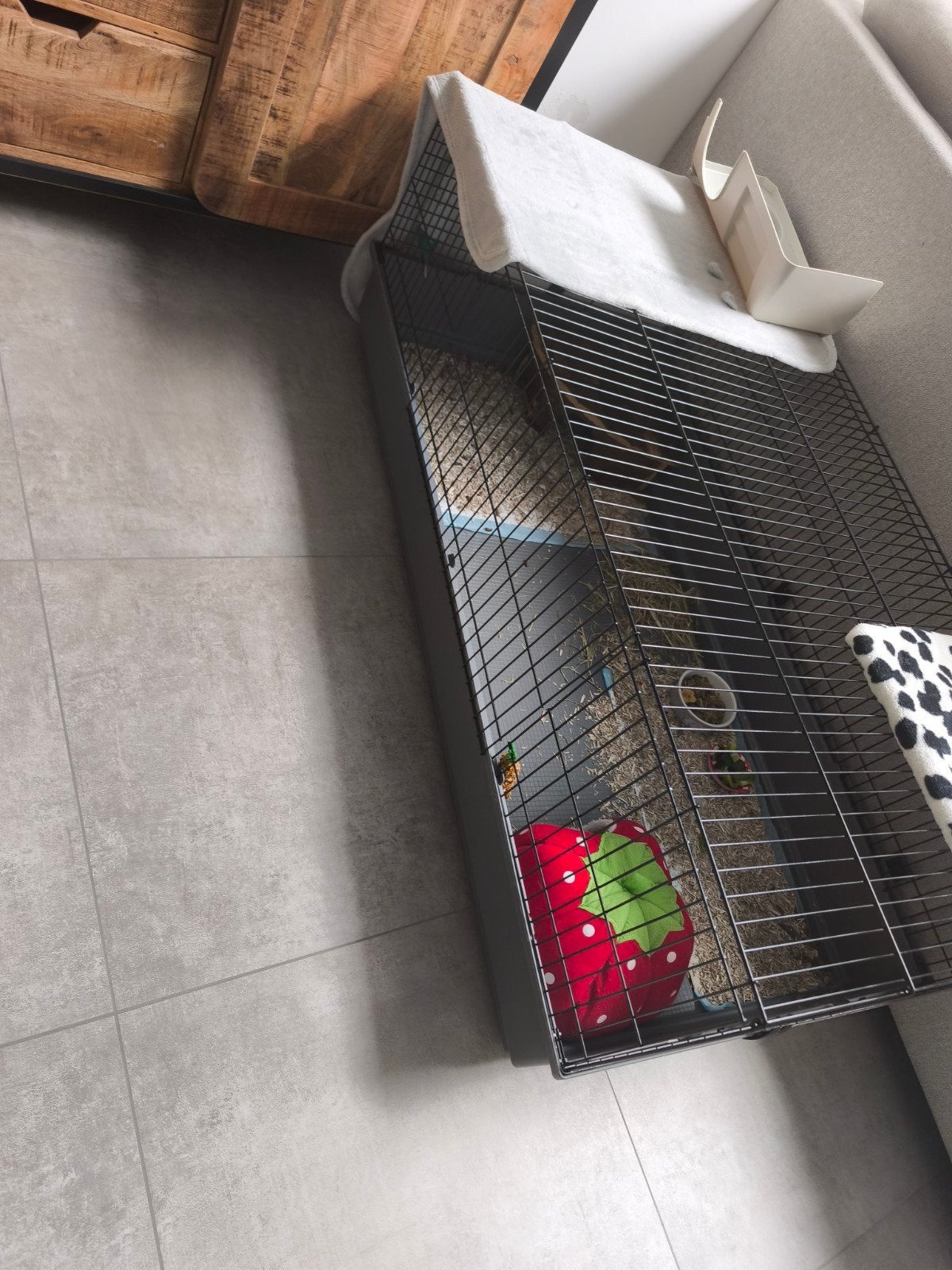 cage a lapin, Animaux & Accessoires, Enlèvement, Cage, Lapin