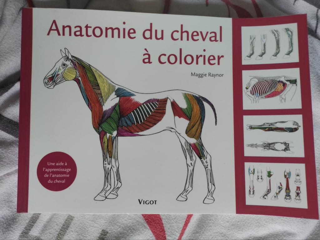 Livre Anatomie du cheval, Enlèvement