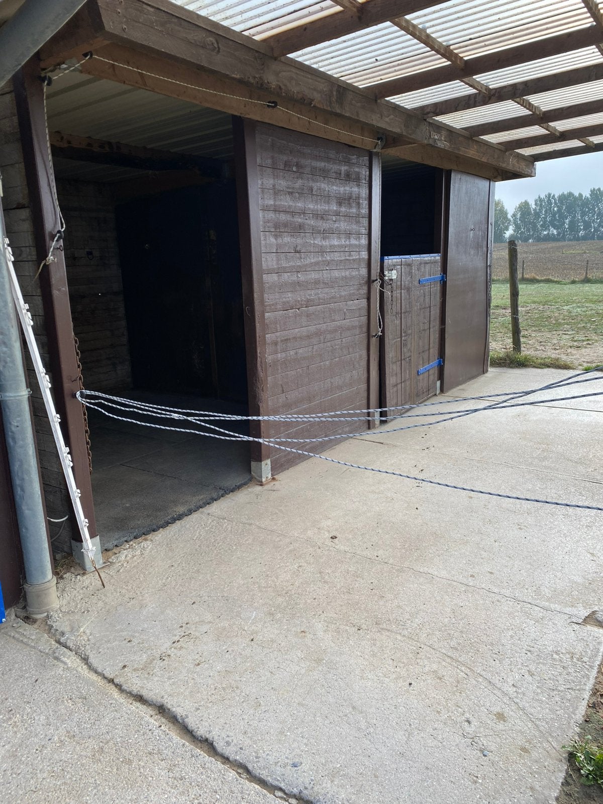 Box à louer pour un hongre à Gembloux, Animaux & Accessoires, Mise à l'étable, 4 chevaux ou poneys ou plus