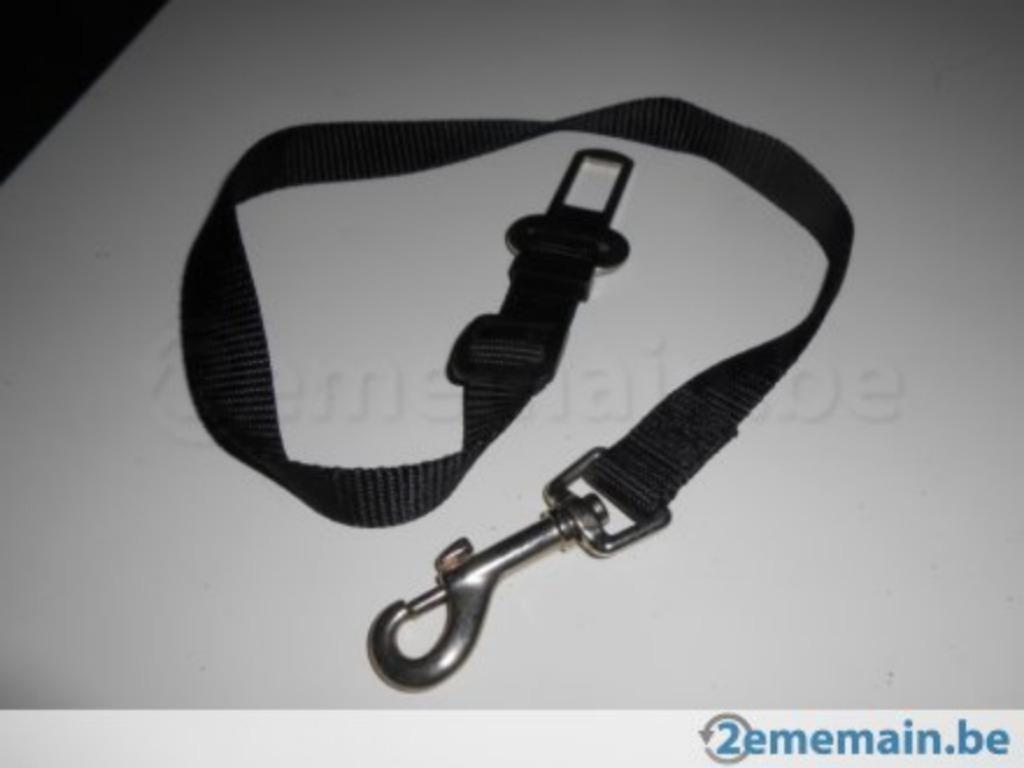 Laisse courte de sécurité, Enlèvement, Neuf, Laisse pour chien