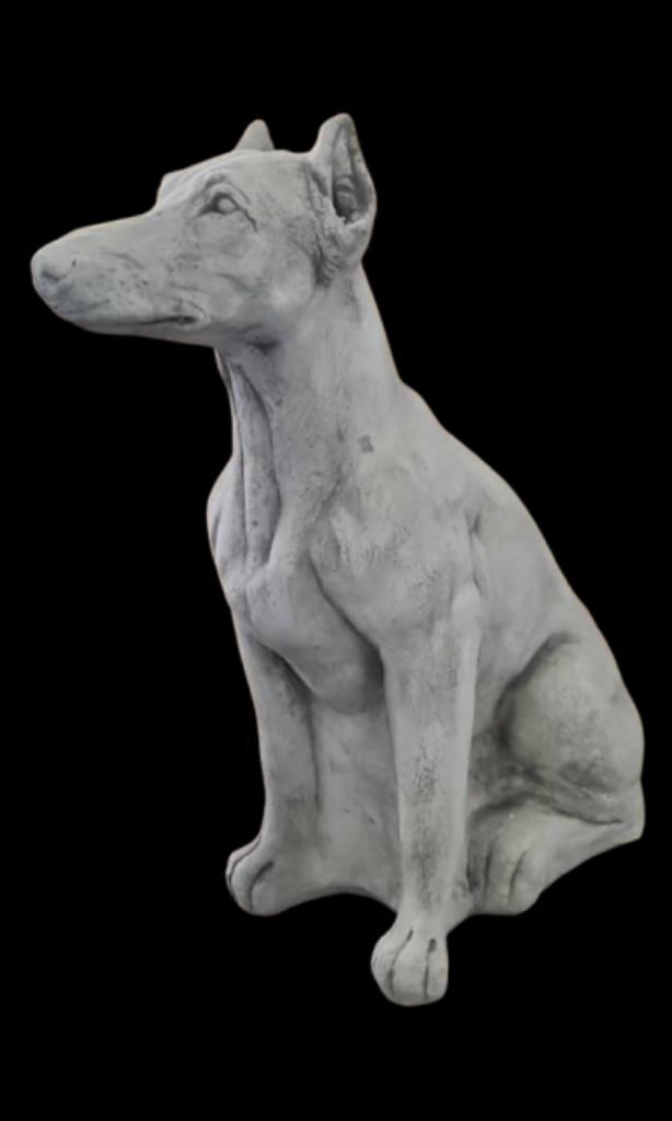 tuinbeeld dobberman, Enlèvement, Neuf, Béton, Animal