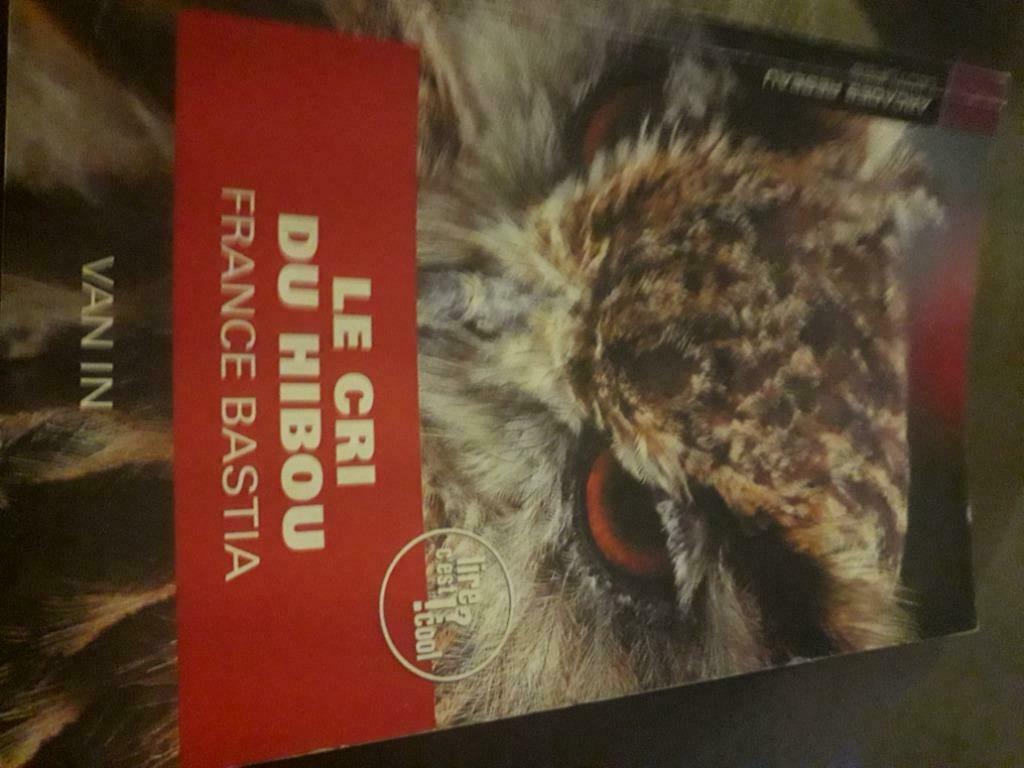 Le cri du hibou, Boeken, Frans, ASO, France Bastia, Ophalen