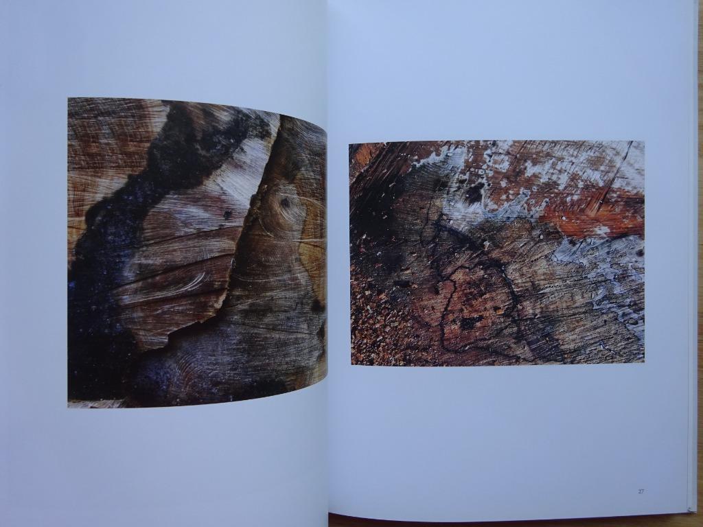 Michèle Maquet, Soignes, Chemin des Grumes, CFC éditions 201, Enlèvement ou Envoi, Comme neuf, Peinture et dessin