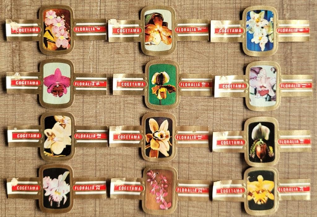 12 oude sigarenbandjes: Orchidee, Ophalen of Verzenden, Gebruikt, Sigarenbandjes