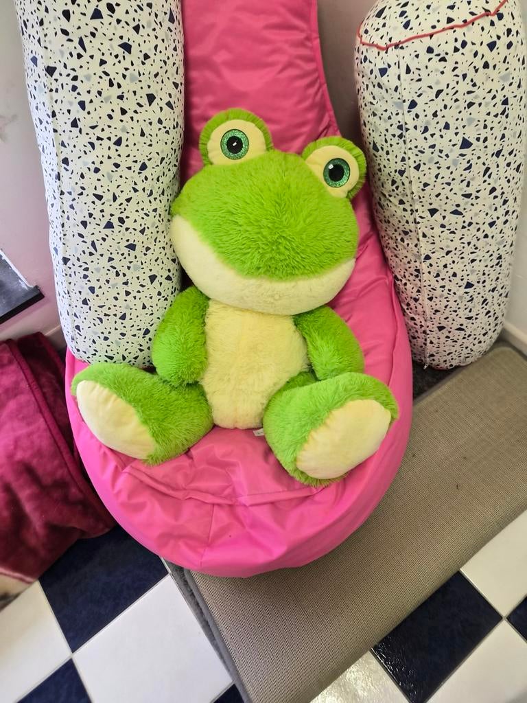 Knuffel kikker 75cm groot, Enlèvement