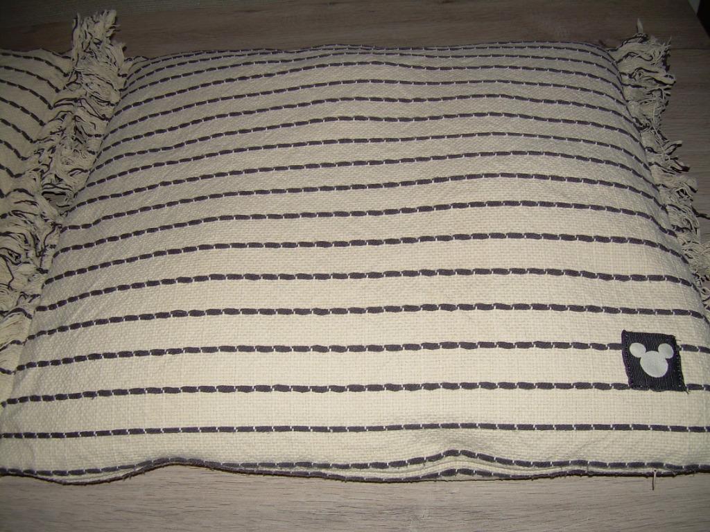 2 sierkussens, Huis en Inrichting, Ophalen, Zo goed als nieuw, Overige kleuren, Rechthoekig