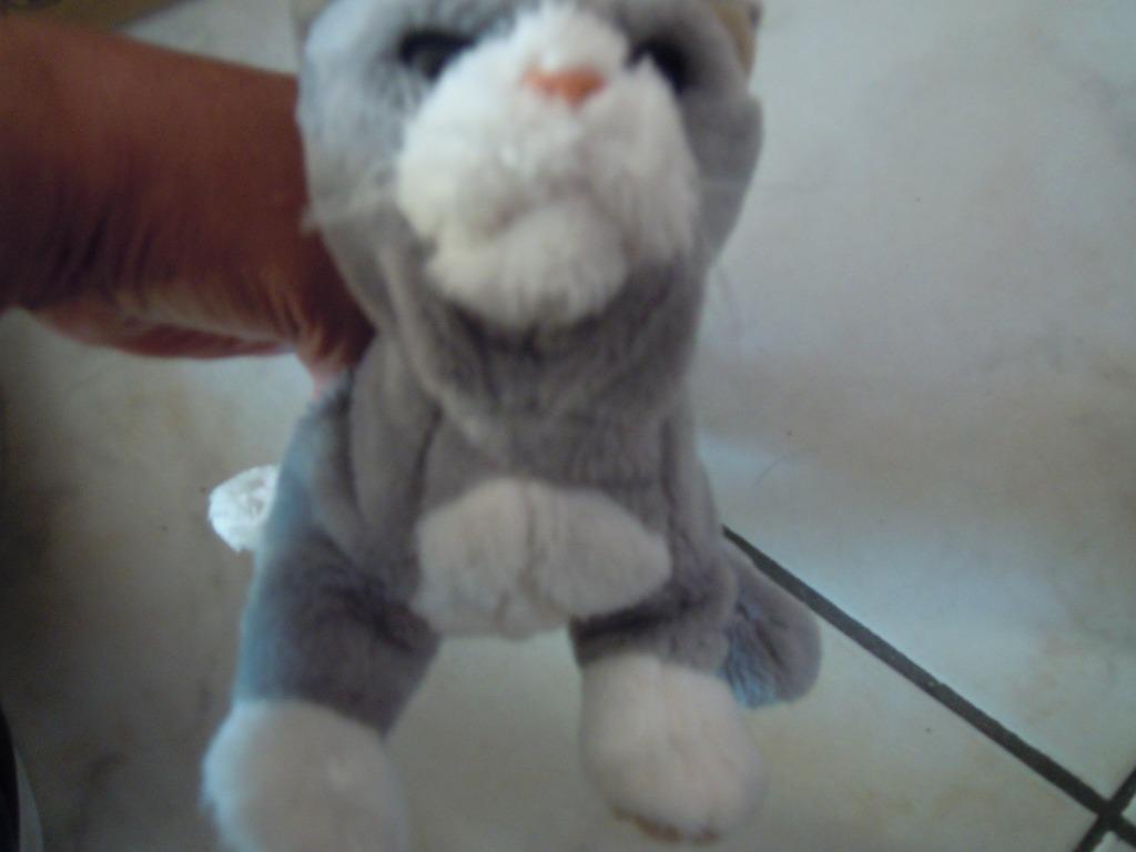 knuffel furreal kat(doos feb 2023), Kinderen en Baby's, Ophalen of Verzenden, Nieuw