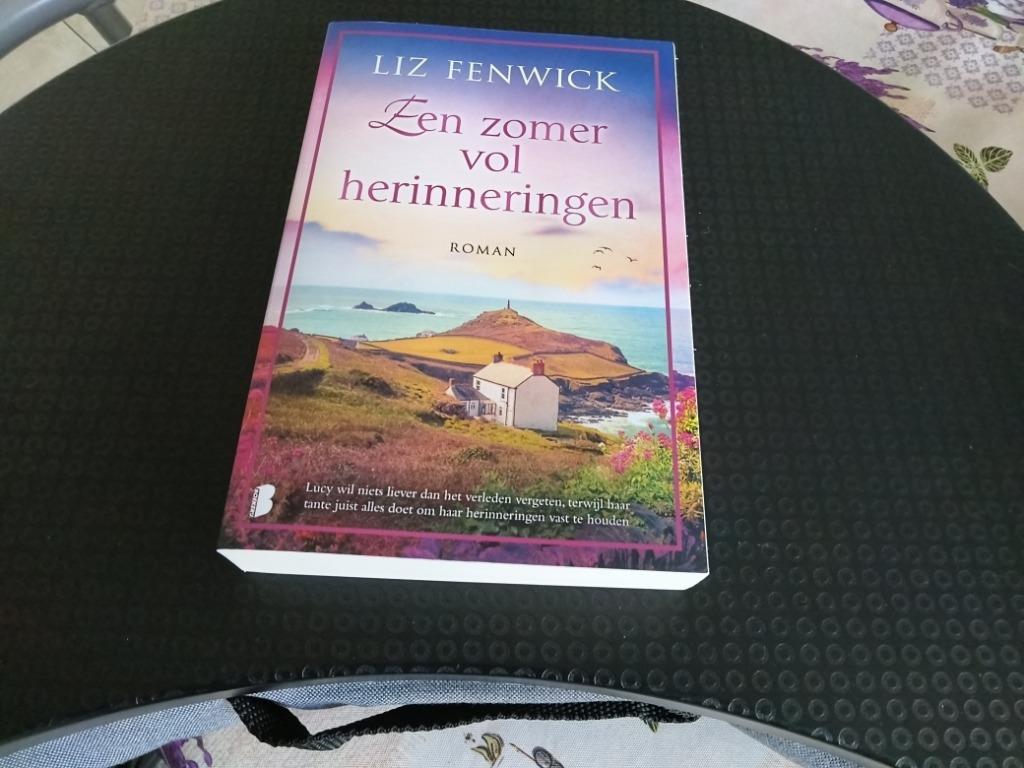 Roman, België, Ophalen of Verzenden, Zo goed als nieuw, Liz Fenwick
