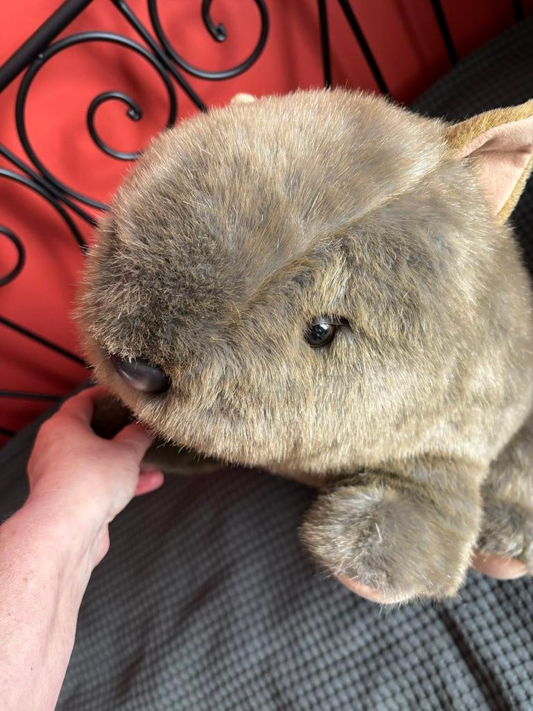 Wombat knuffel 53 cm, Enlèvement ou Envoi, Comme neuf, Autres types