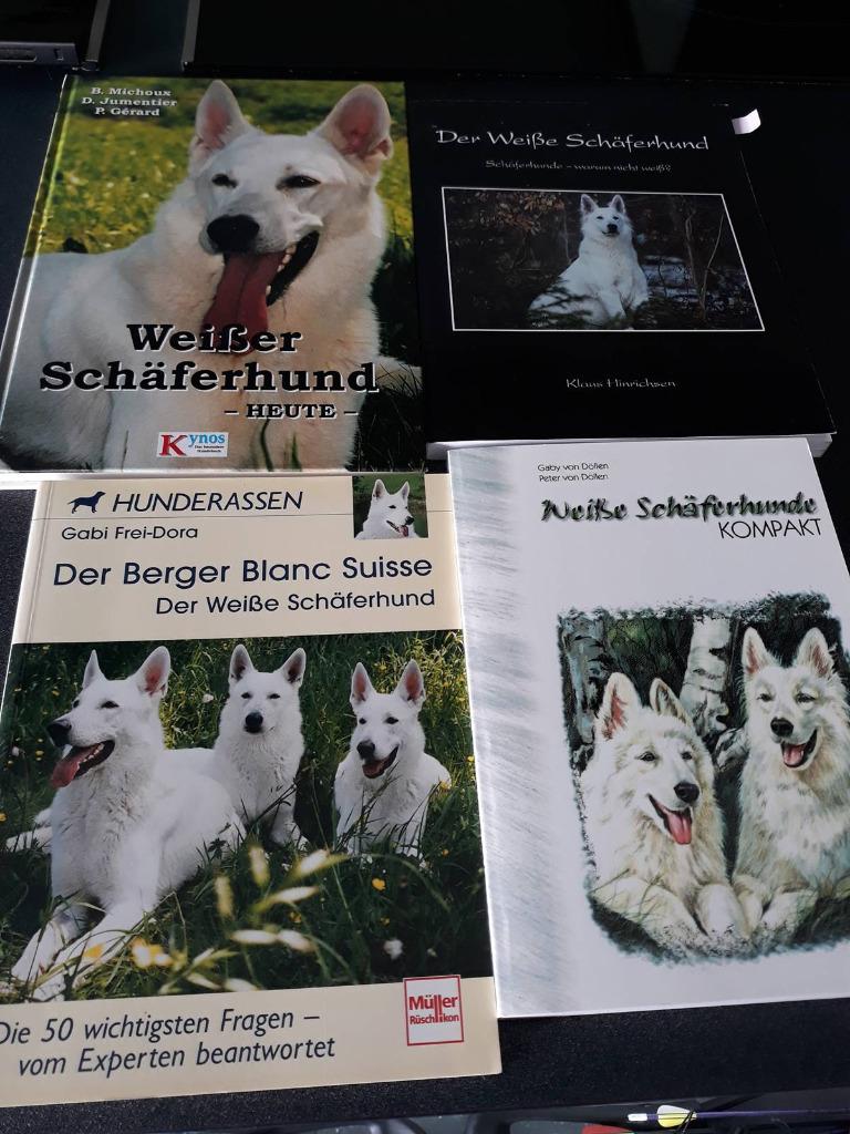 Lot Duitstalige boeken witte herdershond - ook apart, Enlèvement, Comme neuf, Chiens