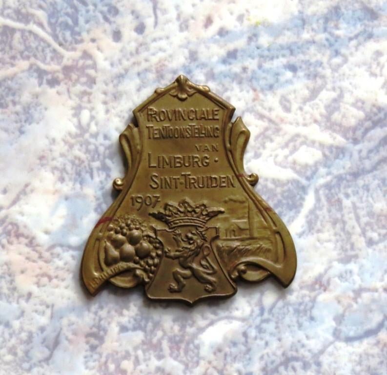 Sint-Truiden Trond Limburg Limbourg Medaille Tentoonstelling, Postzegels en Munten, Verzenden
