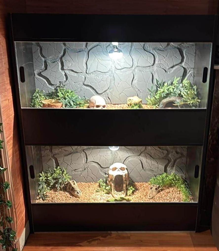 Luxe Dubbel Terrarium 125x150 cm – Volledig Handgemaakt, Dieren en Toebehoren, Ophalen, Nieuw, Terrarium of Paludarium