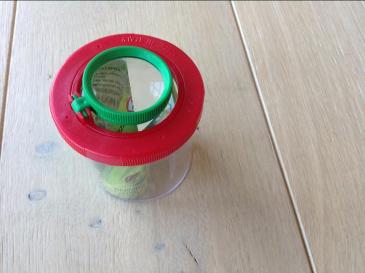 Insectenpotje nieuw, Kinderen en Baby's, Ophalen of Verzenden, Nieuw