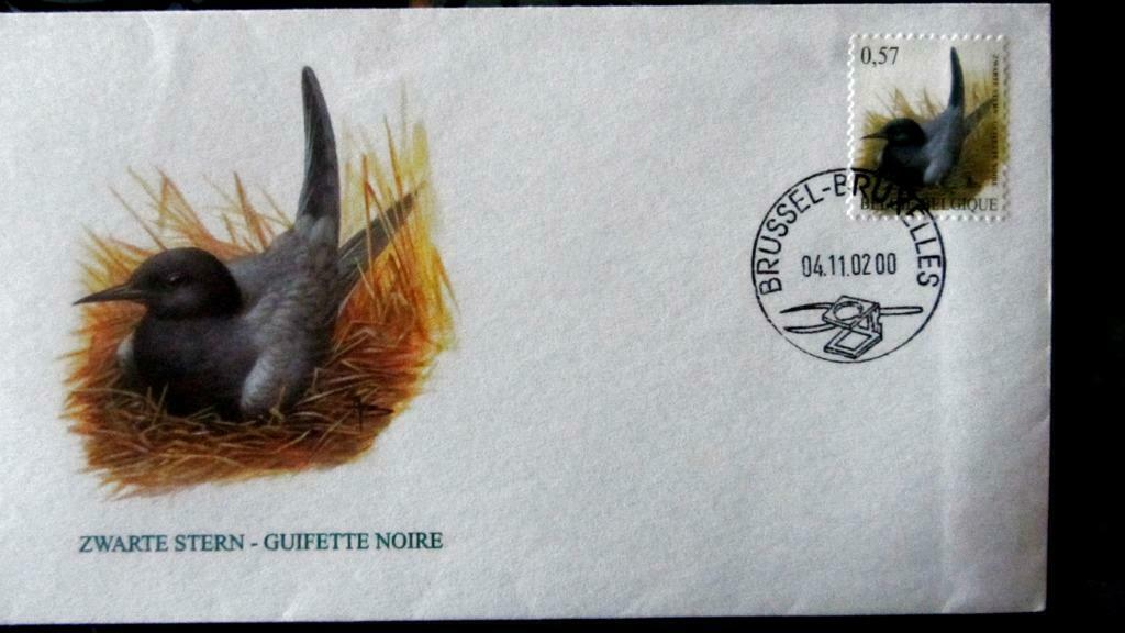 FIRST DAY COVER- VOGELS VAN BUZIN- DE ZWARTE STERN, Verzenden, Gestempeld, Dier of Natuur