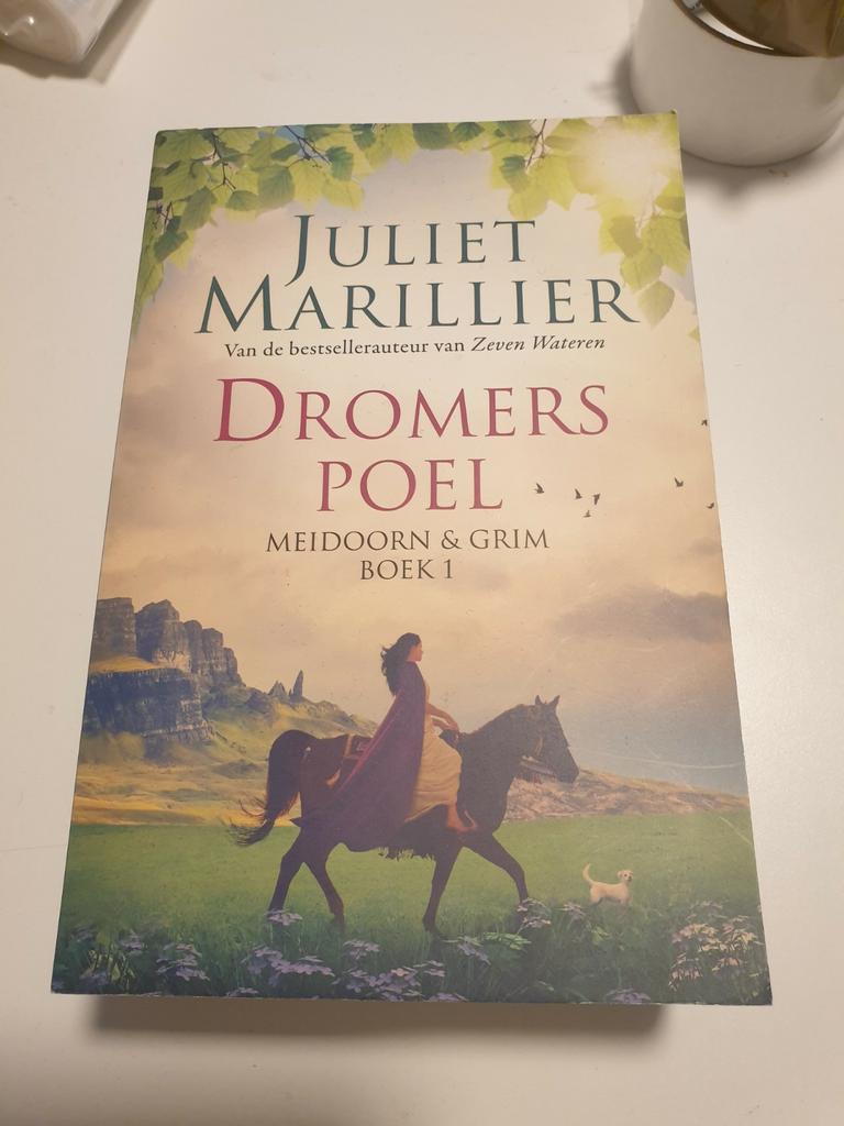 Juliet Marillier - Dromerspoel. MEIDOORN & GRIM BOEK 1, Ophalen of Verzenden, Zo goed als nieuw, Juliet Marillier