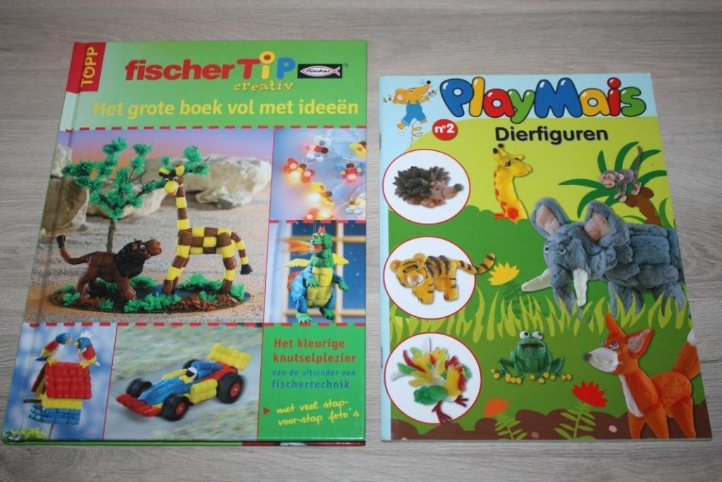 2x boek Fischer Tip , PlayMais , knutselboeken, Ophalen of Verzenden, Zo goed als nieuw, Overige onderwerpen, Geschikt voor kinderen