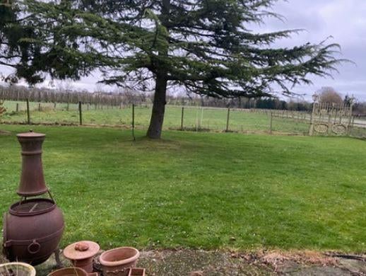 Weide te huur, Meerdere dieren, Niet van toepassing, Minder dan 160 cm, 0 tot 2 jaar