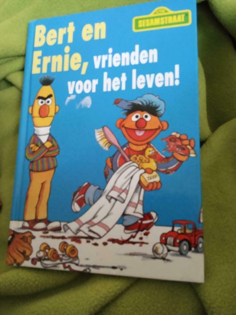 Kinderboek Bert en Ernie, vrienden voor het leven !, Boeken, Ophalen of Verzenden, Gelezen
