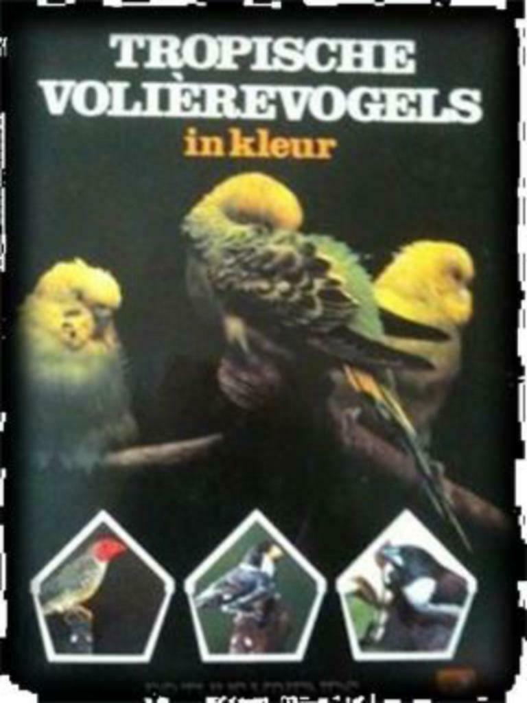 Tropische volièrevogels in kleur, Dr.Thijs Vrien, Ophalen of Verzenden, Gelezen, Vogels