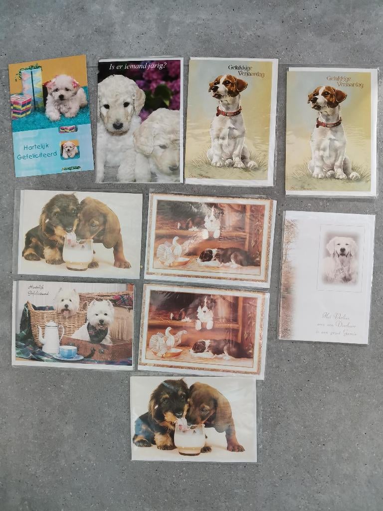 10 nieuwe wenskaarten honden - kerst, verjaardag, rouw ..., Ophalen of Verzenden, Nieuw