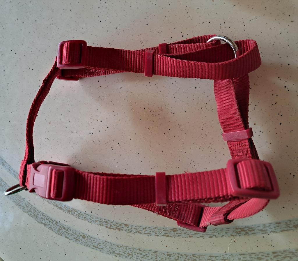 harnais pour chien, Enlèvement, Utilisé