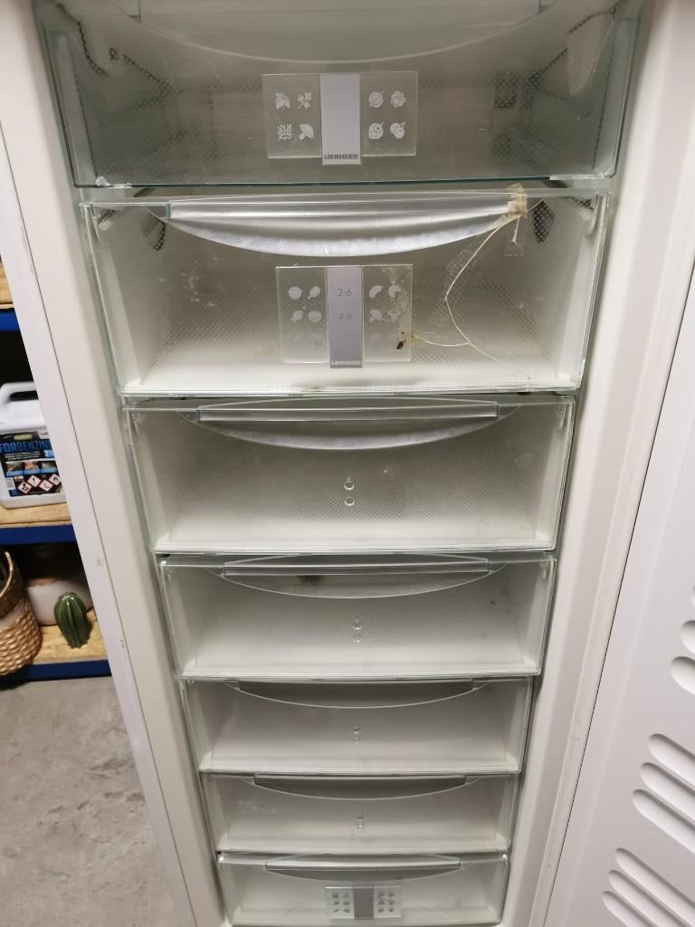 Congélateur armoire Liebherr Comfort NoFrost, Enlèvement, Utilisé, À Poser, Congélateur