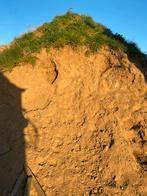 Aanvulgrond gratis, Ophalen