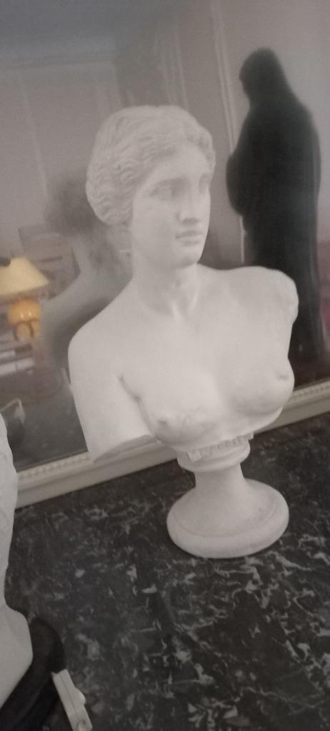 buste d'aphrodite, Antiquités & Art, Enlèvement