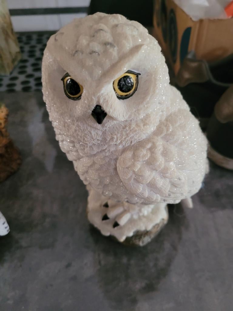 uilen collectie, ook apart, Verzamelen, Ophalen of Verzenden, Zo goed als nieuw, Dier