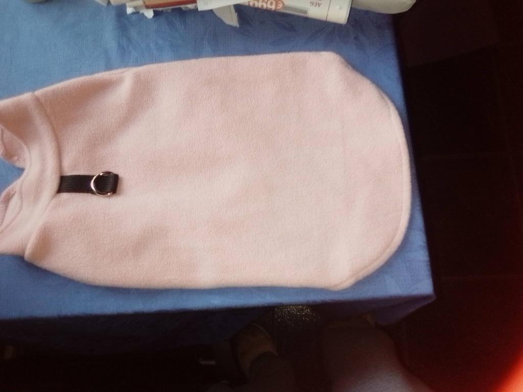 Hondentrui, Dieren en Toebehoren, Hondenkleding, Ophalen of Verzenden, Zo goed als nieuw, Hondentrui